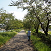名古屋の水辺を