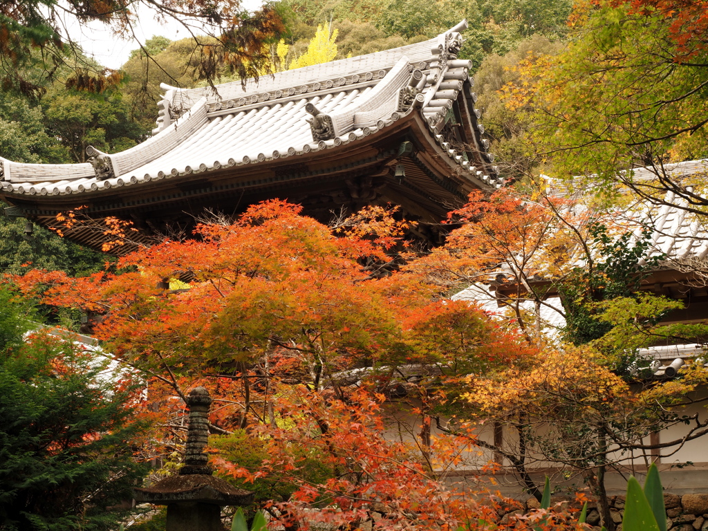 好きなお寺さん