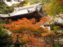 好きなお寺さん