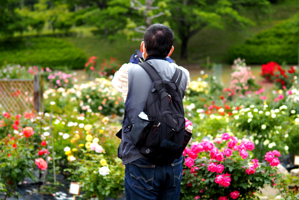 奇麗に撮れましたかぁ。