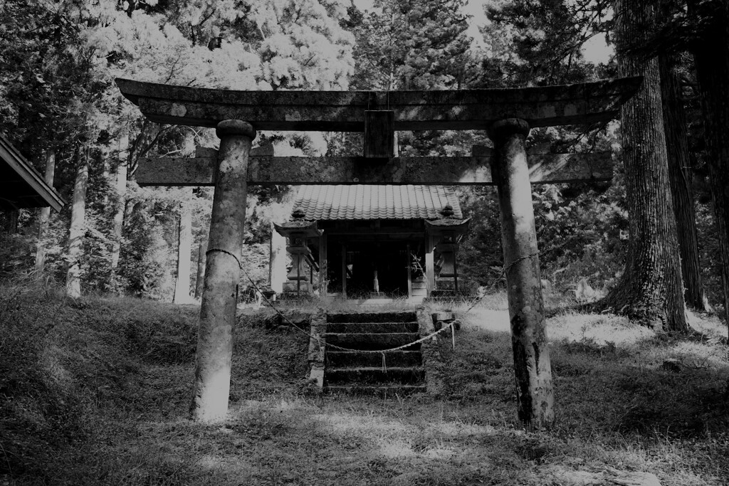 山中の神社。