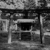 山中の神社。