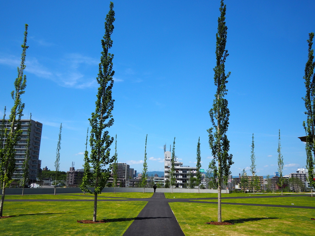 空が青い