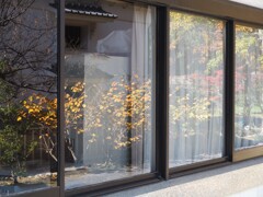 豊田市民芸館。
