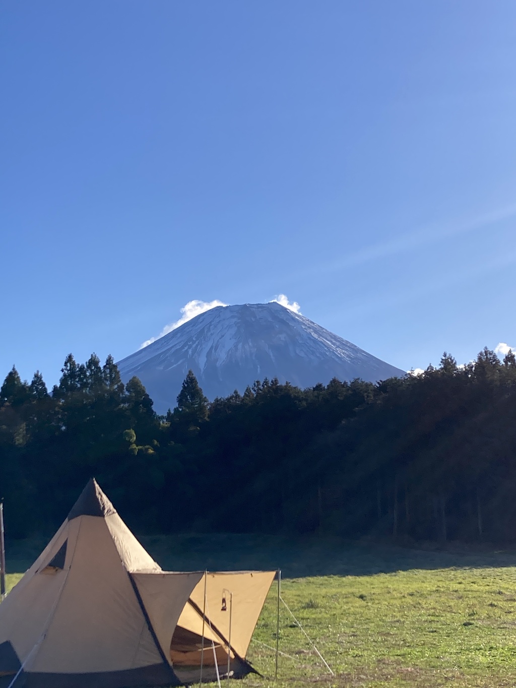 今年初の富士山