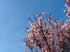 雨が降る前に②