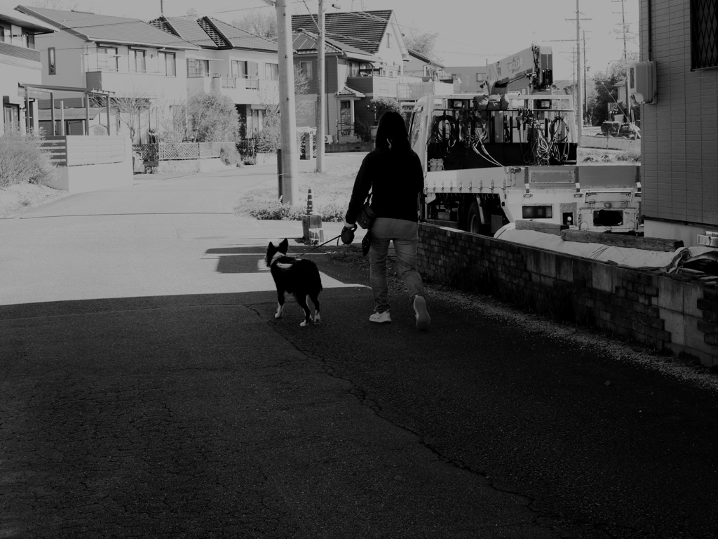愛犬とのお散歩。
