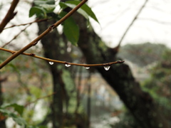 雨の止み間に