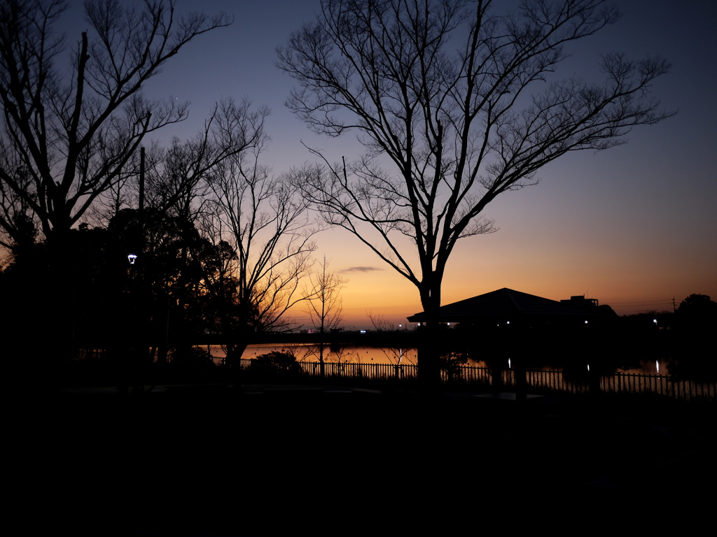 久しぶりに夕陽撮影。