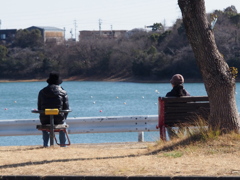 日向ぼっこ