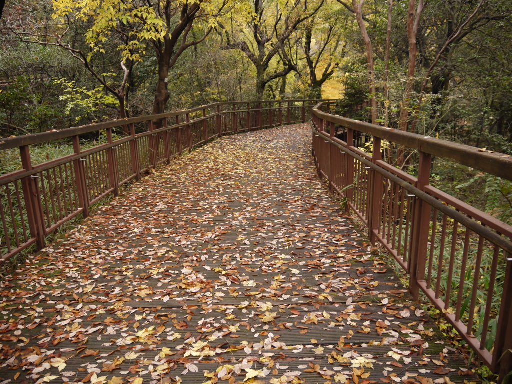 三好池公園。