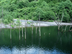 自然湖2