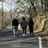 ご近所さんもお散歩