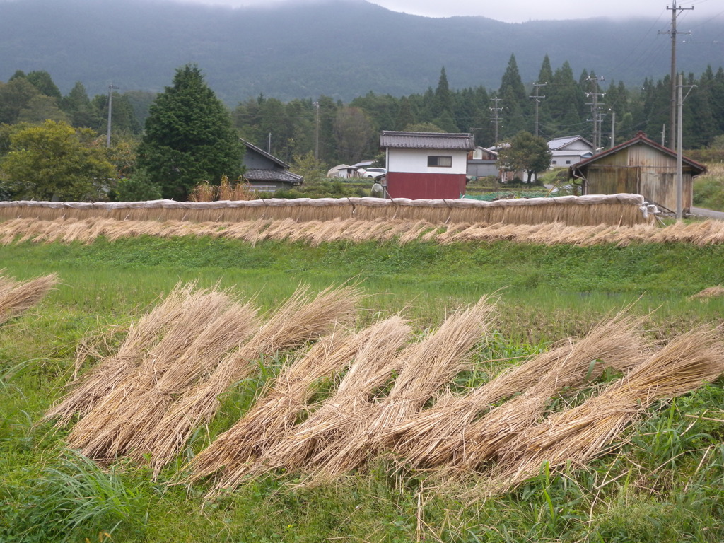 愛すべき田舎。