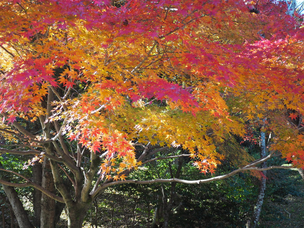 豊田市民芸館再訪３