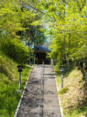 豊田市花めぐり・お寺編