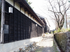 残暑厳しい日の写活②