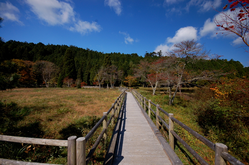 木道１