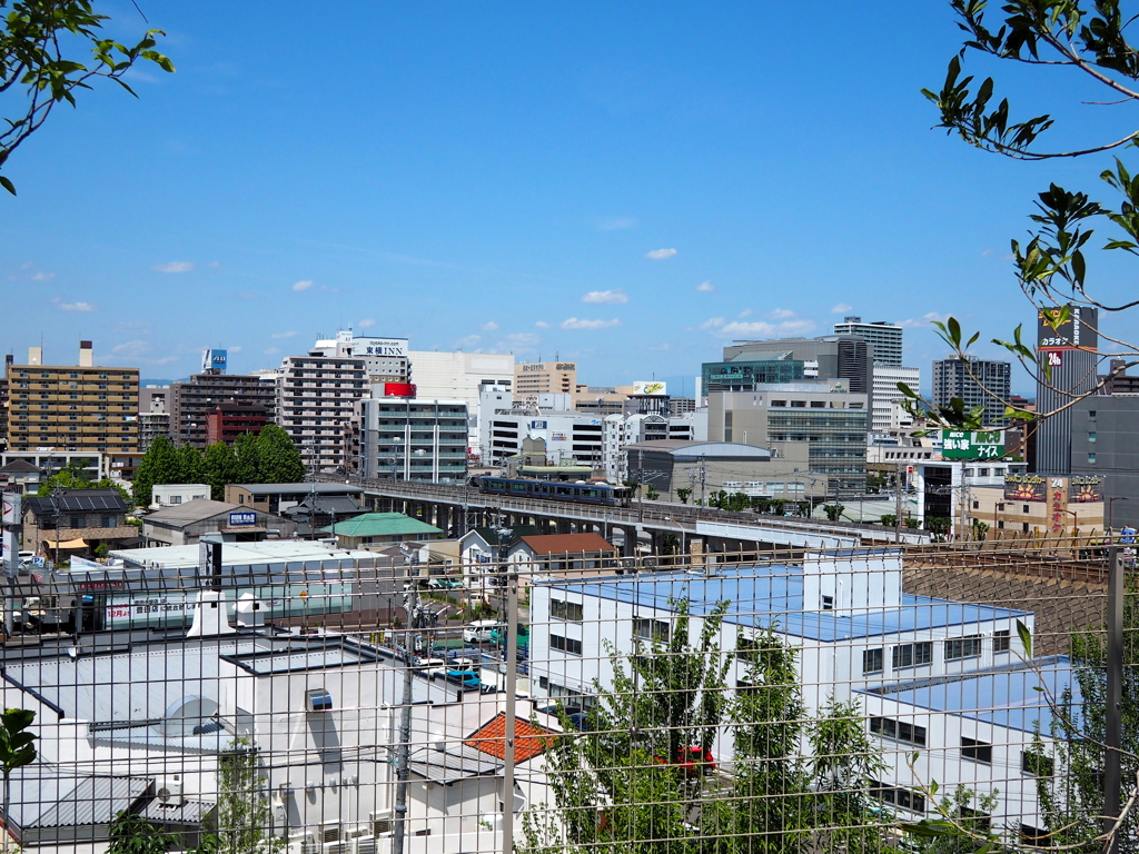 高台から