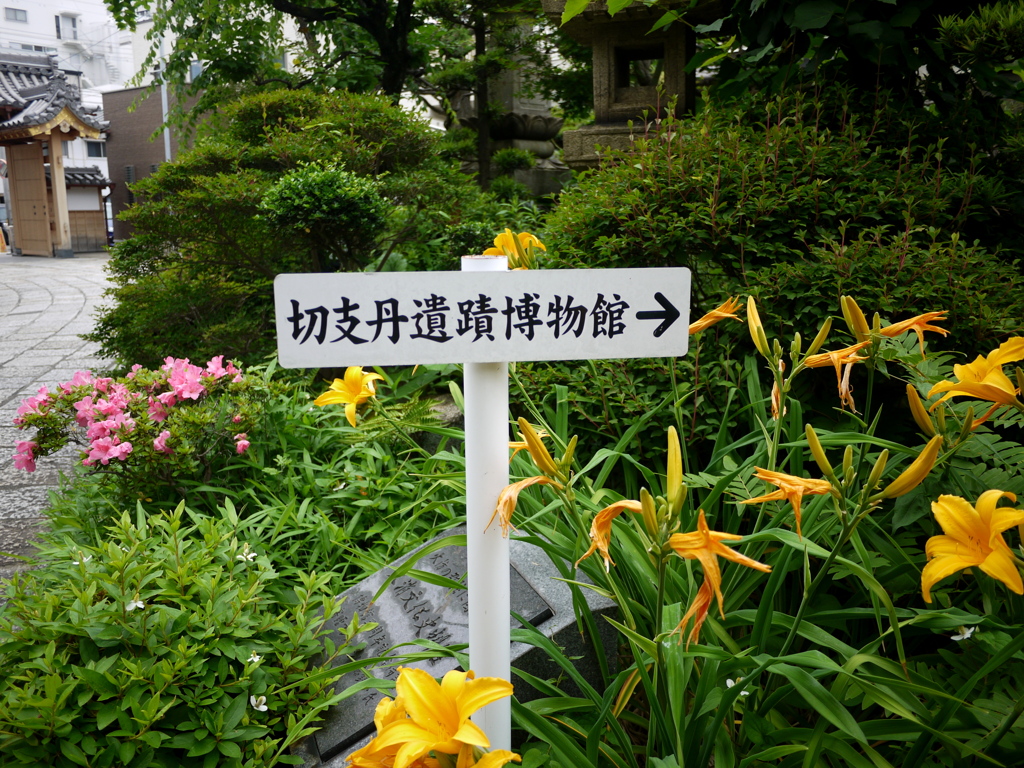 残念でしたが