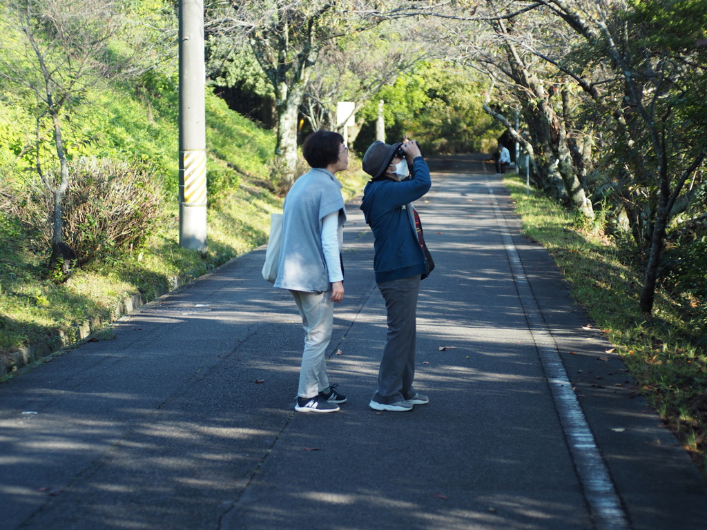 何が見えますか？