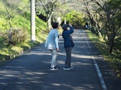 何が見えますか？