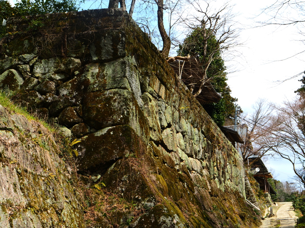 続・大鷲院、石垣。