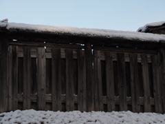 板塀も雪が。