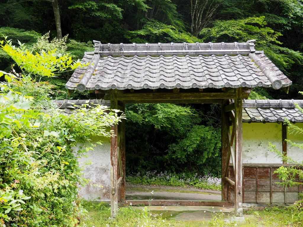 何故か？山門が二つ。