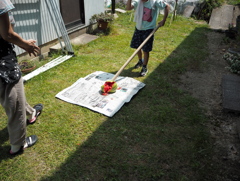 田舎にようこそ