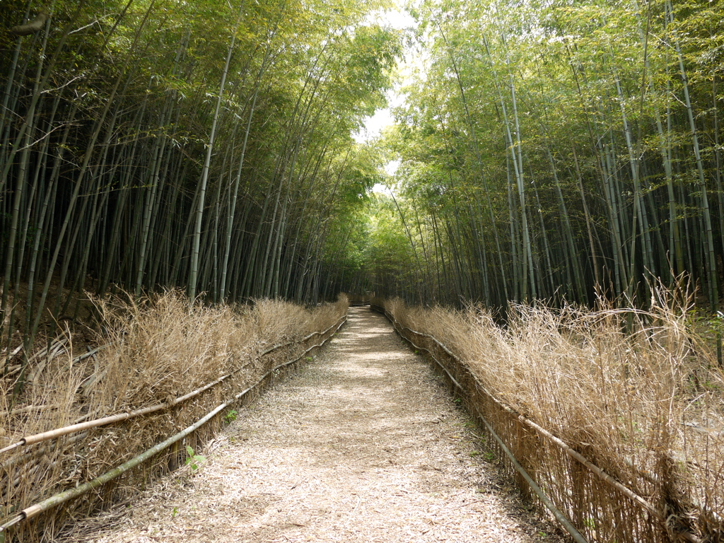 大高緑地公園にて１。