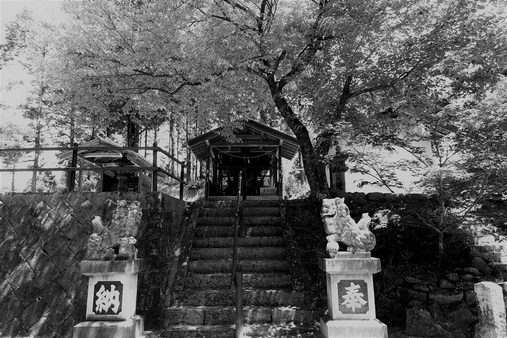 静かな神社。