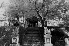 静かな神社。