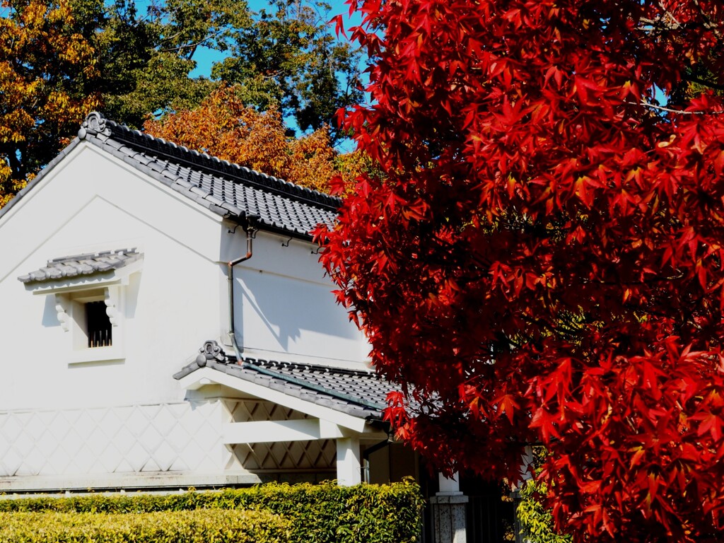 豊田市民芸館。