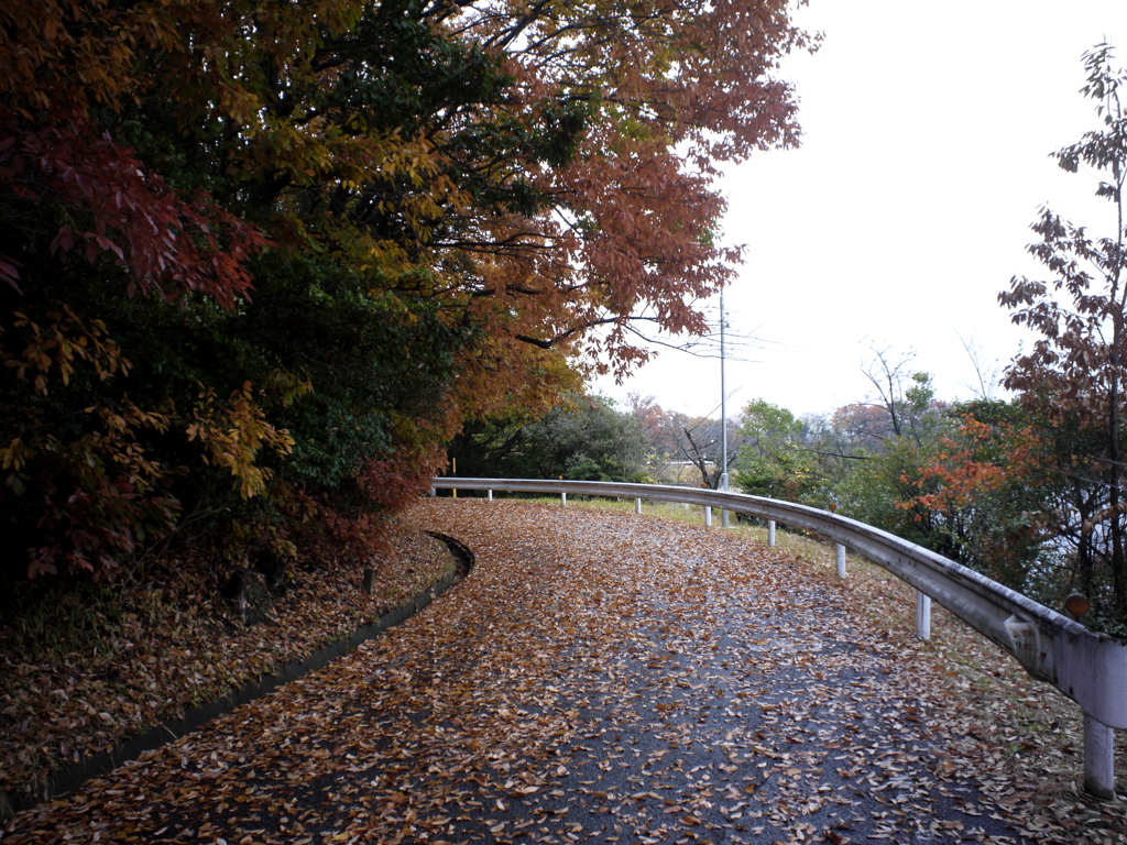 散歩道には