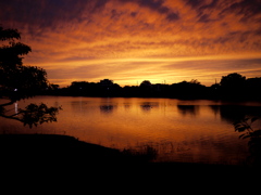 三好池夕景。