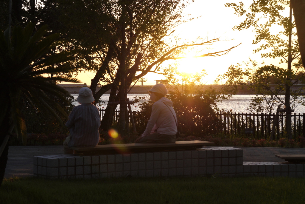 ご婦人の夕刻会議