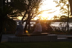 ご婦人の夕刻会議