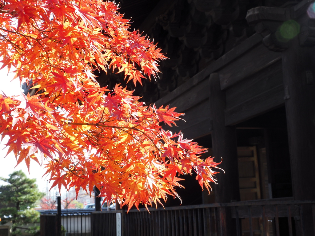 徳川家の菩提寺