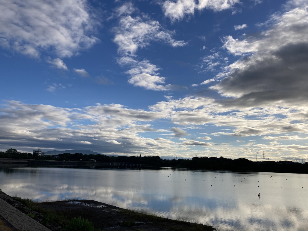 久しぶりの青空散歩