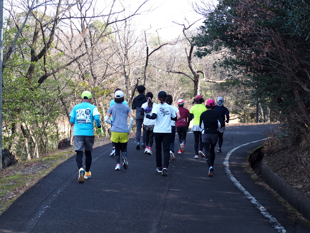 天気の良い休日。