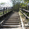 奥殿陣屋続編１