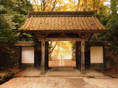 愛知県の紅葉名所です。