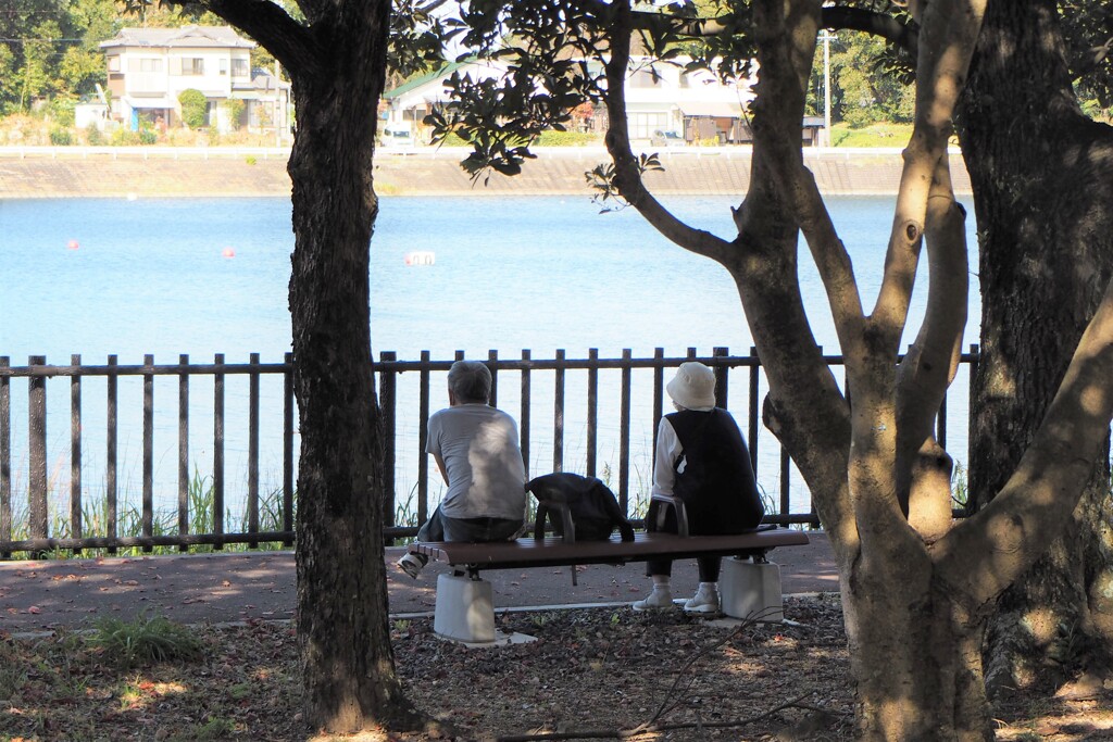 公園のベンチにて。