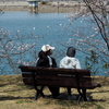 桜を見ながらひと休み