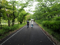 お散歩