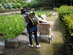 Japanvintage