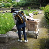 Japanvintage