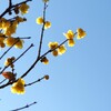 少しですが春。