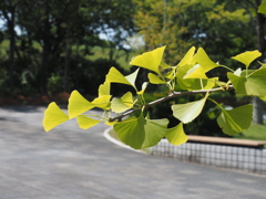 公園にて